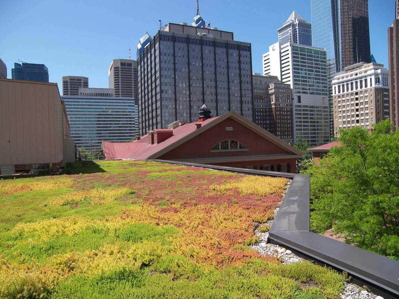 paysagiste-LE THORONET-min_green-roof-portfolio-4